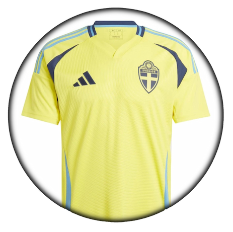 foto de equipo para Suecia